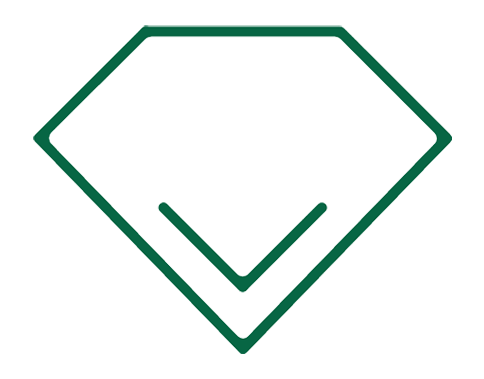 全自主知识产权研发能力